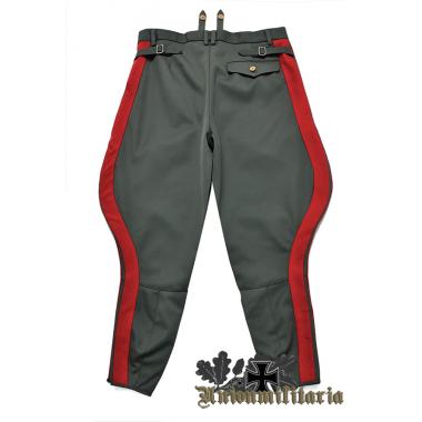 WW2 German General Filed Gray Breeches
