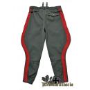 WW2 German General Filed Gray Breeches