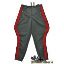 WW2 German General Filed Gray Breeches