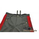 WW2 German General Filed Gray Breeches