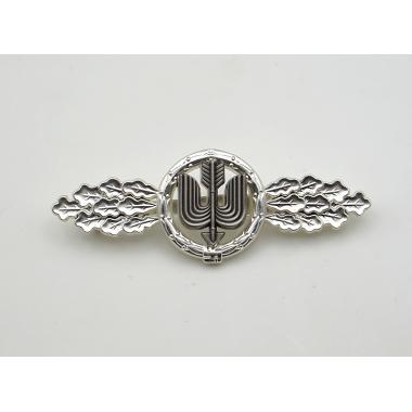Long Range Day Fighter  Squadron Clasp in Silver